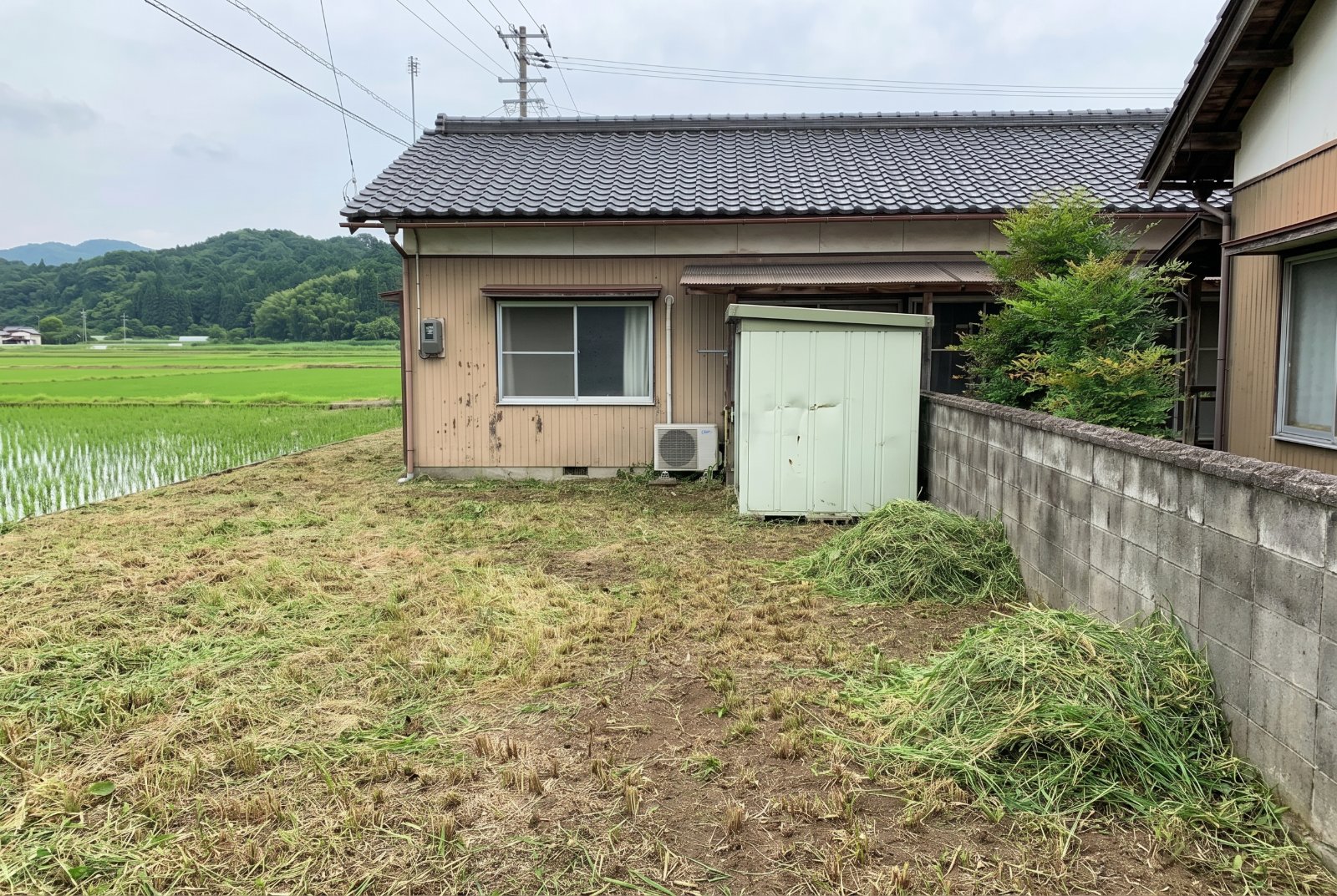 草を刈った後の裏庭。地面が見えるまで短く刈られ、刈った草が塀ぎわにまとめてある